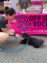 DOGGONE IT TREATS FOR YOU AND YOUR BFF!