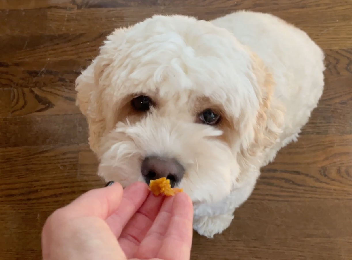 DOGGONE IT TREATS FOR YOU AND YOUR BFF!